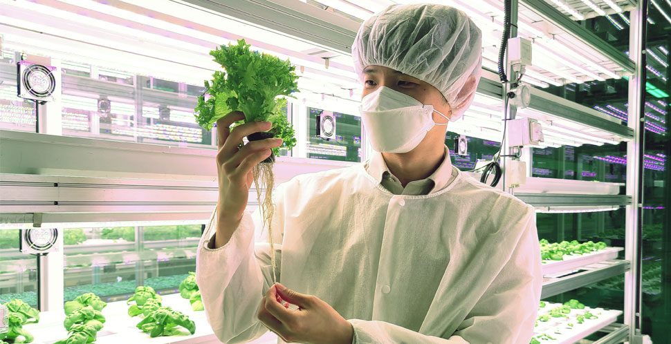 A climate solitions startup shows vertical farming products